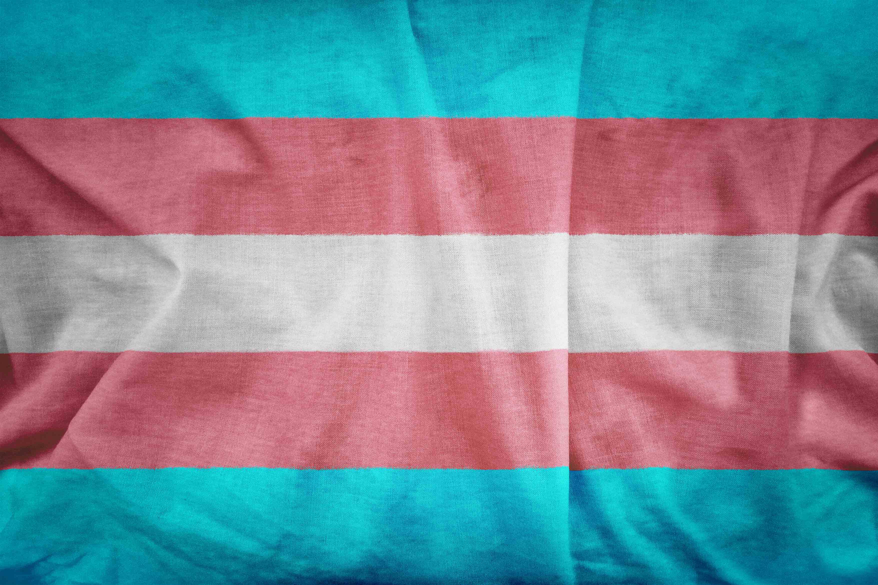 rf_transgender flag_shutterstock_787909060 copy 2