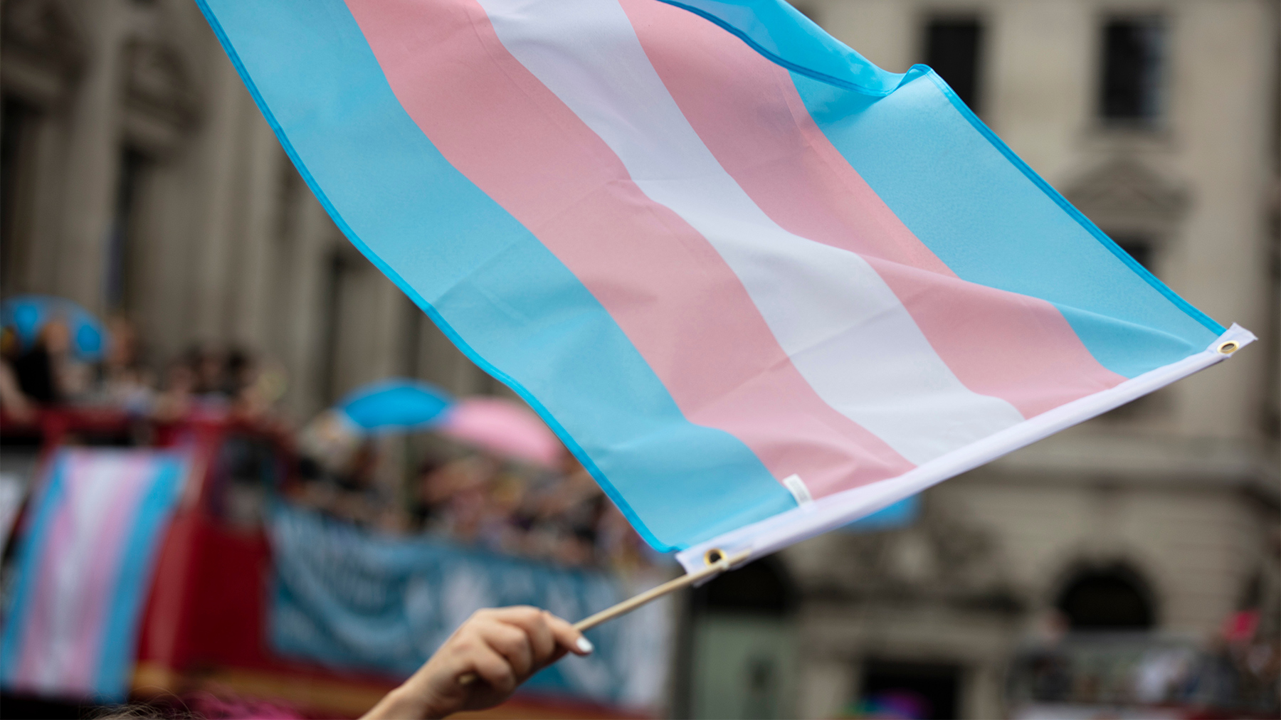 TransFlag