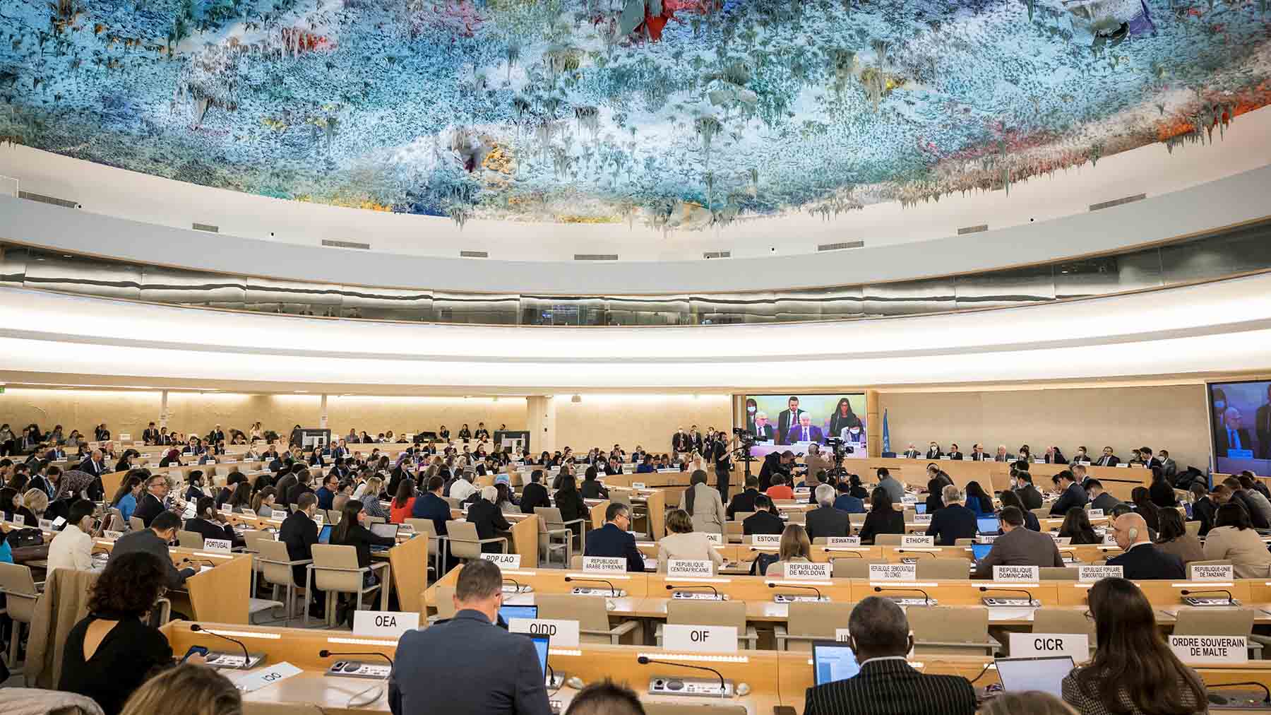 splc-participates-in-UN-panel-in-Geneva-on-minority-rights_AP22328374298085
